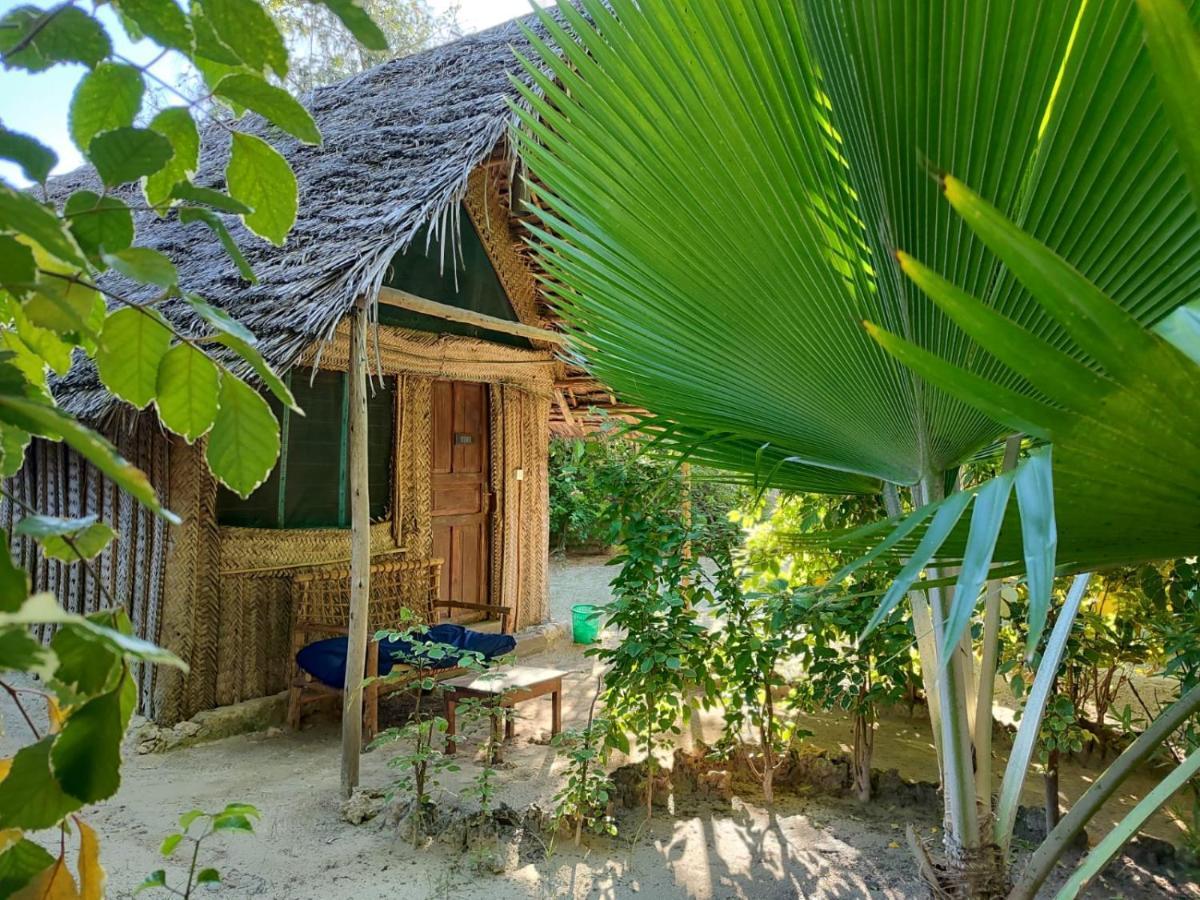 Your Zanzibar Place Paje Esterno foto