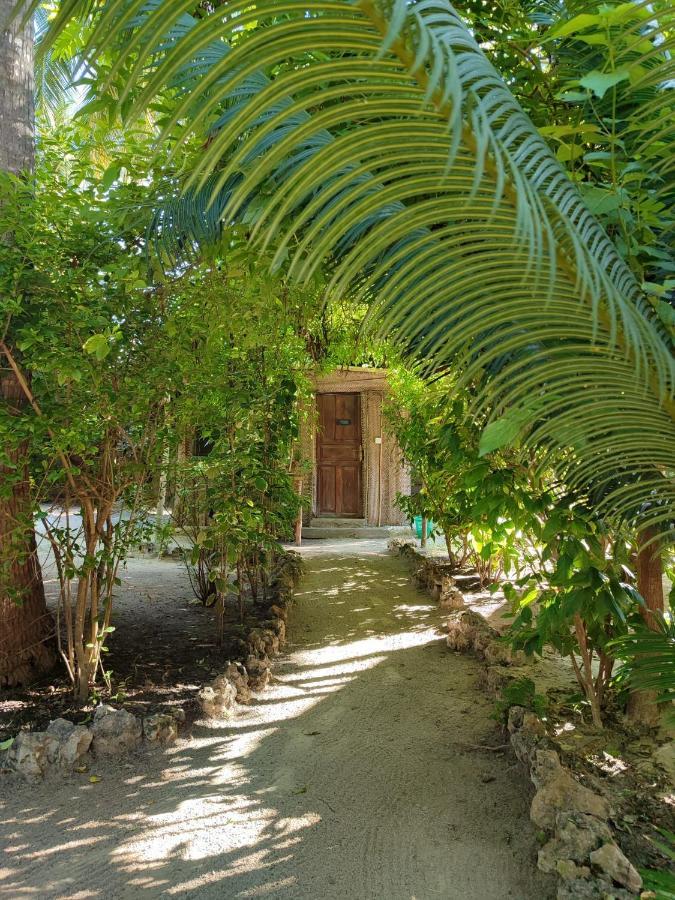 Your Zanzibar Place Paje Esterno foto