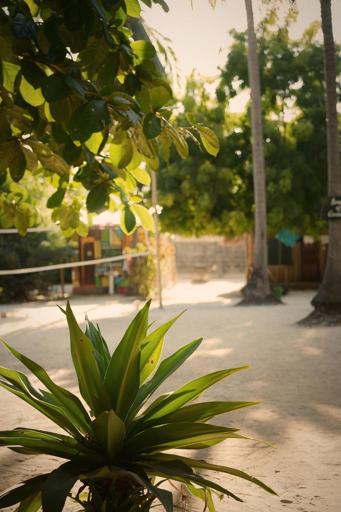 Your Zanzibar Place Paje Esterno foto
