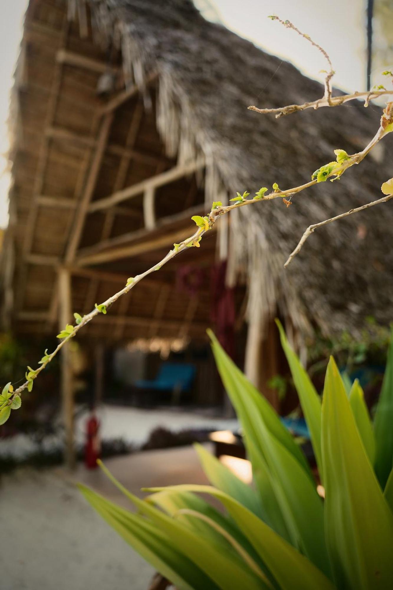 Your Zanzibar Place Paje Esterno foto